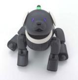 AIBO ERS-312 Macaron - Picture: /uploads/images/robots/robotpictures-all/AIBO-ERS-312-Macaron_001.jpg