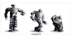 Picture of Morph 3 