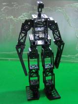 Hajime Robot 39 - Picture: /uploads/images/robots/robotpictures-all/hajime-robot-39.jpg