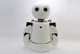 RPC S1 - Picture: /uploads/images/robots/robotpictures-all/rpc-s1-001.jpg