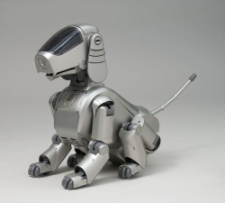 Picture ofAIBO Series : AIBO ERS-110