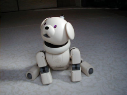 Picture ofAIBO Series : AIBO ERS-311 Latte