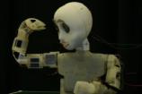 Bandit - Picture: /uploads/images/robots/robotpictures-all/Bandit_001.jpg