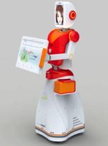 FURO - Picture: /uploads/images/robots/robotpictures-all/FURO_001.jpg