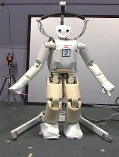 Picture of IRT Humanoid 