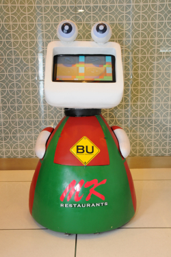 Picture of MK Robot 