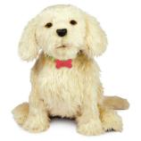 Perfect Puppy Buddy - Picture: /uploads/images/robots/robotpictures-all/PerfectPuppy-Buddy_001.jpg