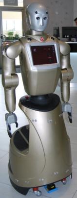 REEM H1 - Picture: /uploads/images/robots/robotpictures-all/REEM-H1_001.jpg