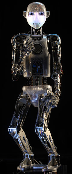 Picture of RoboThespian RT3 Andy 