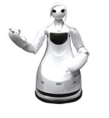 TPR-Robina - Picture: /uploads/images/robots/robotpictures-all/TPR-Robina_001.jpg