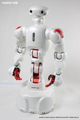 TWENDY-ONE - Picture: /uploads/images/robots/robotpictures-all/TWENDY-ONE_001.jpg