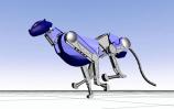 Cheetah - Picture: /uploads/images/robots/robotpictures-all/cheetah-001.jpg