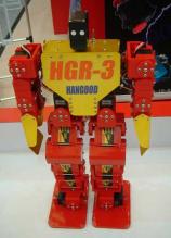 Hangood HGR-3 - Picture: /uploads/images/robots/robotpictures-all/hangood-hgr-3-001.jpg