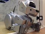 Home Security Dog - Picture: /uploads/images/robots/robotpictures-all/home-security-dog-001.jpg