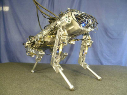 Picture of HyQ Robot 