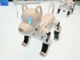 I-SODOG - Picture: /uploads/images/robots/robotpictures-all/i-sodog-001.jpg