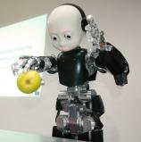 iCub - Picture: /uploads/images/robots/robotpictures-all/iCub_001.jpg