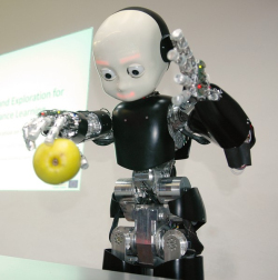 Picture of iCub 