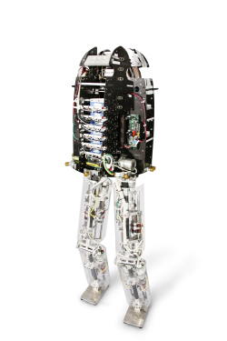Picture of IHMC Biped 