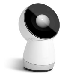 Picture of Jibo 