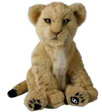 Picture of Lion cub alive 