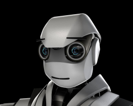 Developmental Robotics Lab.