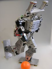 Picture ofMr. DD Series : Mr. DD 