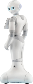 Pepper Companion Robot