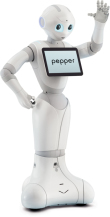 Pepper