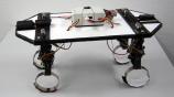 Pithekos - Picture: /uploads/images/robots/robotpictures-all/pithekos-001.jpg