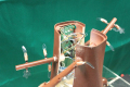 Robot Plants Growing Roots