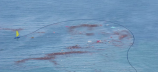 Protei Cleaning Ocean - Picture: /uploads/images/projects/protei/protei-cleaning.png