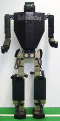 Picture of Robo-Erectus 