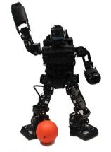 RoboErectus Jr. - Picture: /uploads/images/robots/robotpictures-all/roboerectus-jr-001.jpg