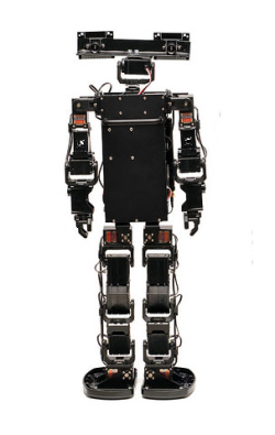 Picture of RoboPatriots 
