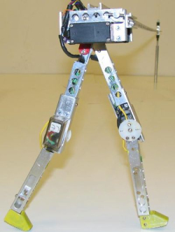 Picture of RunBot 