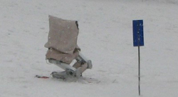 Picture of Skiing Robot 