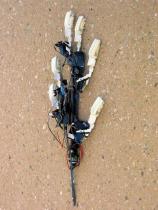 SpinyBot - Picture: /uploads/images/robots/robotpictures-all/spinybot-001.jpg