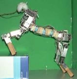 SQ43 - Picture: /uploads/images/robots/robotpictures-all/sq43-001.jpg