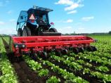 Steketee IC Automatic Weeder - Picture: /uploads/images/devices/steketee/steketee-ic-1.jpg