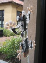 StickyBot - Picture: /uploads/images/robots/robotpictures-all/stickybot-003.jpg