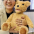 Fujitsu Teddy Bear 