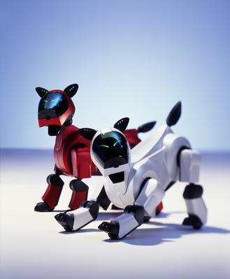 Robot | AIBO ERS-210 | Robotics Today