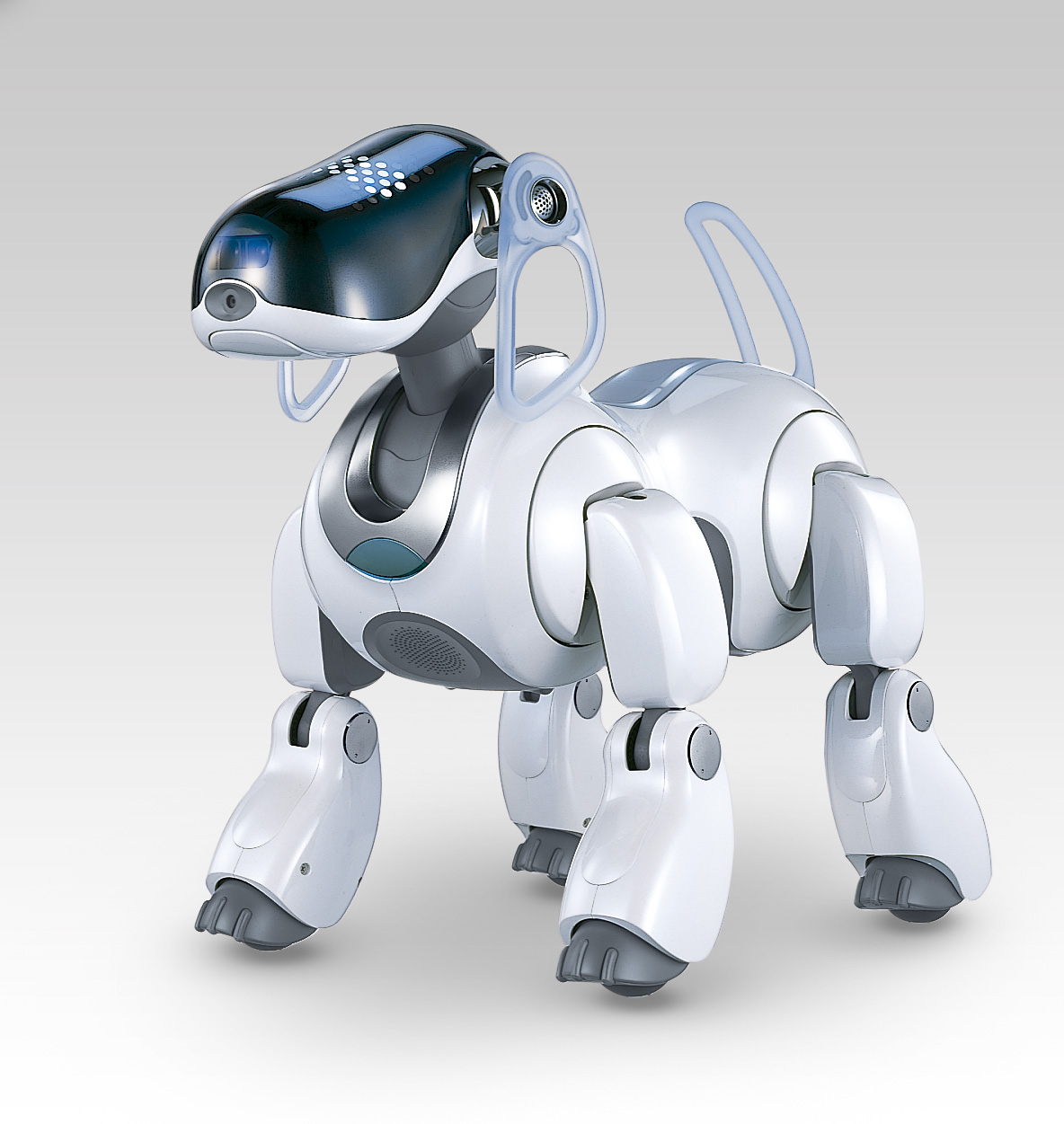 Aibo ERS-7 - Picture: /uploads/images/robots/robotpictures-all/AIBO-ERS-7_001.jpg