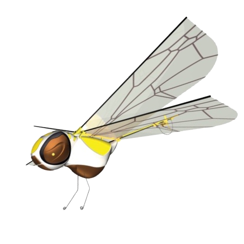 Hornet Dragonfly - Picture: /uploads/images/robots/robotpictures-all/HornetDragonfly_001.jpg
