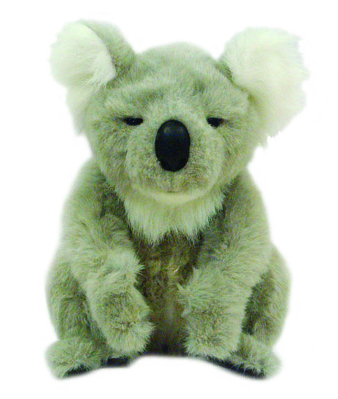 Picture of Koala Joey 