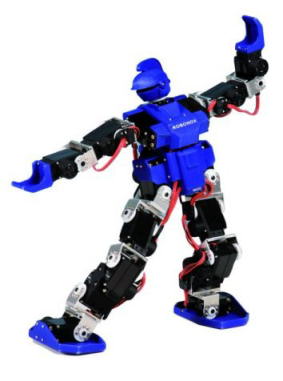 Robonox - Picture: /uploads/images/robots/robotpictures-all/robonox-001.jpg